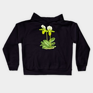 Green Lady slipper orchid - Paphiopedilum lawrenceanum var Hyeanum - botanical illustration Kids Hoodie